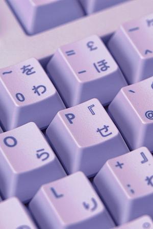 丁寧な対応と少ない導入費用が特徴